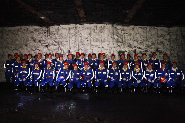 創(chuàng)新聯(lián)盟專家團(tuán)隊(duì)在陜煤（右起左四為何滿潮院士、宋振騏院士、張鐵崗院士、煤炭工業(yè)協(xié)會(huì)副理事長(zhǎng)劉峰